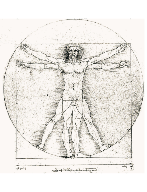 davinci - uomo vitruviano(3)